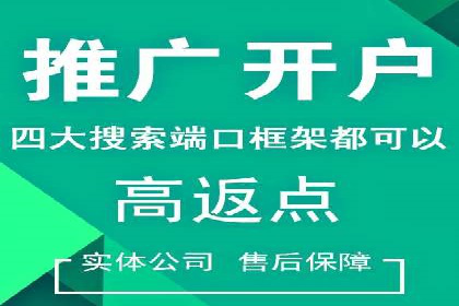 案例解读：SEM代理助力电商销量翻倍